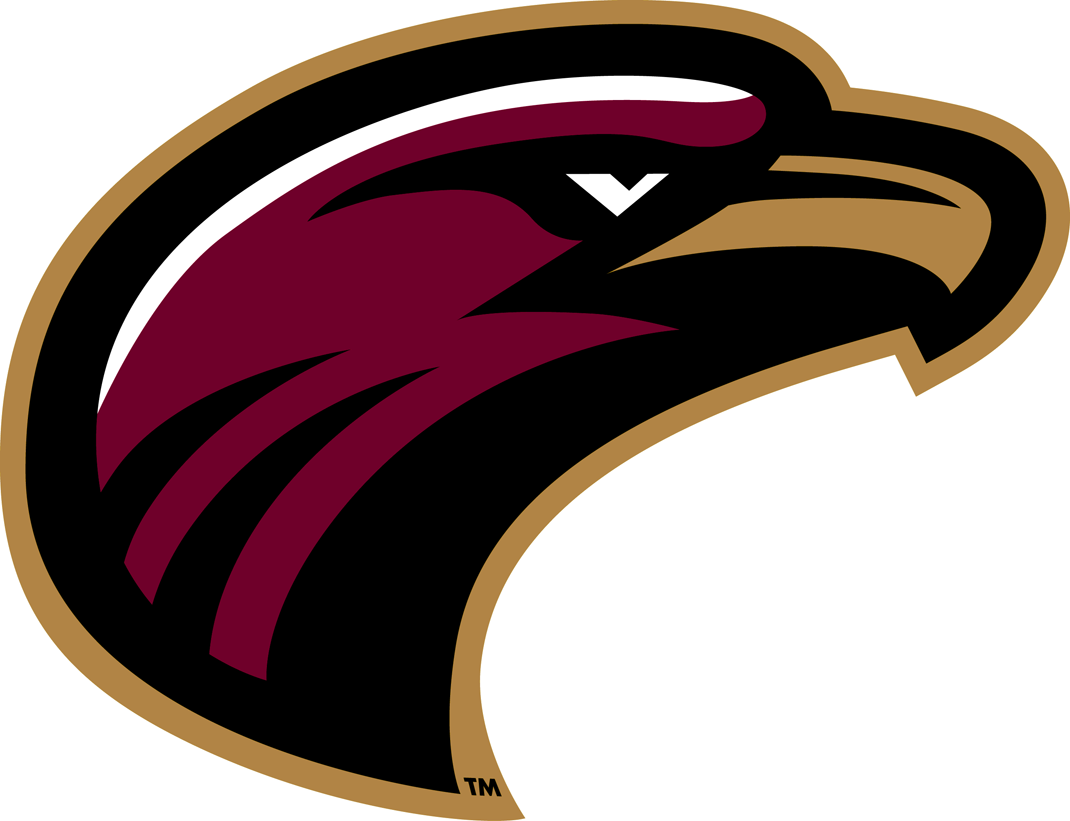 Louisiana-Monroe Warhawks 2006-Pres Secondary Logo iron on paper